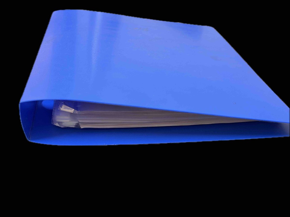 The infamous blue binder of Astrology 101 printouts.